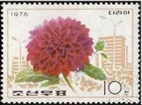 (1976-018) Марка Северная Корея "Георгины"   Цветы III Θ